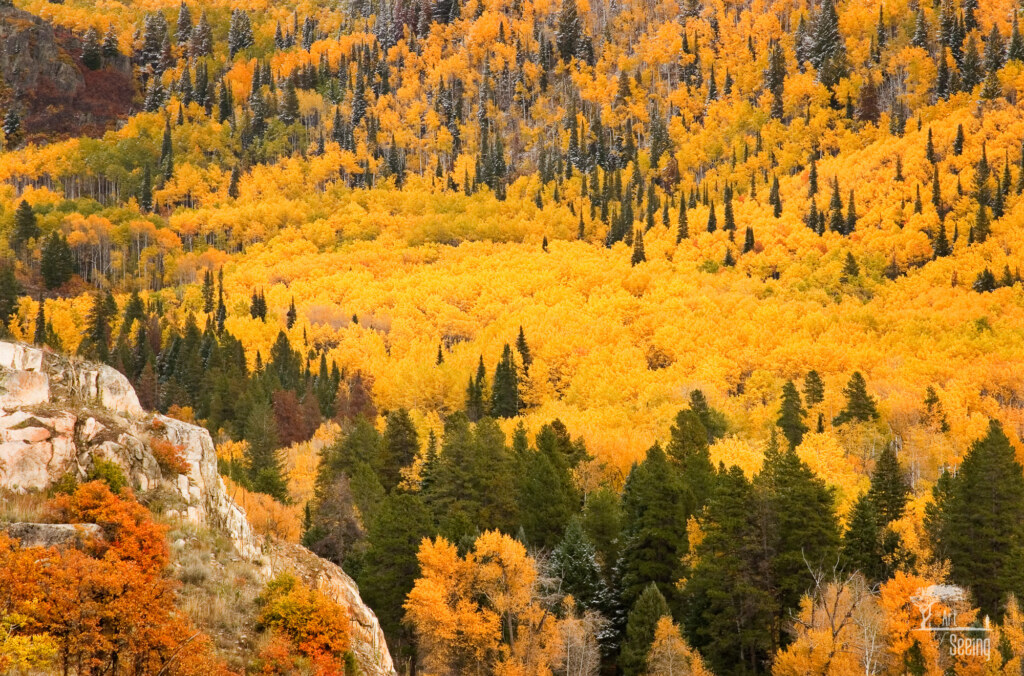 Fish Creek Canyon in Fall, a landscape photograph by Ken Lee