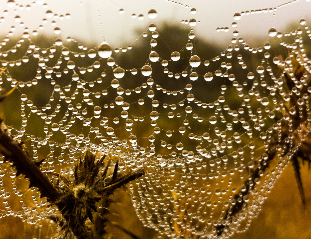 A photograph by Ken Lee made with a phone camera