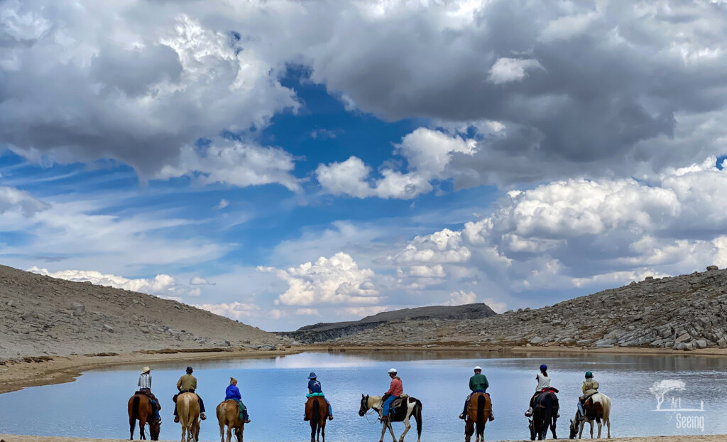 A photograph by Ken Lee made with a phone camera