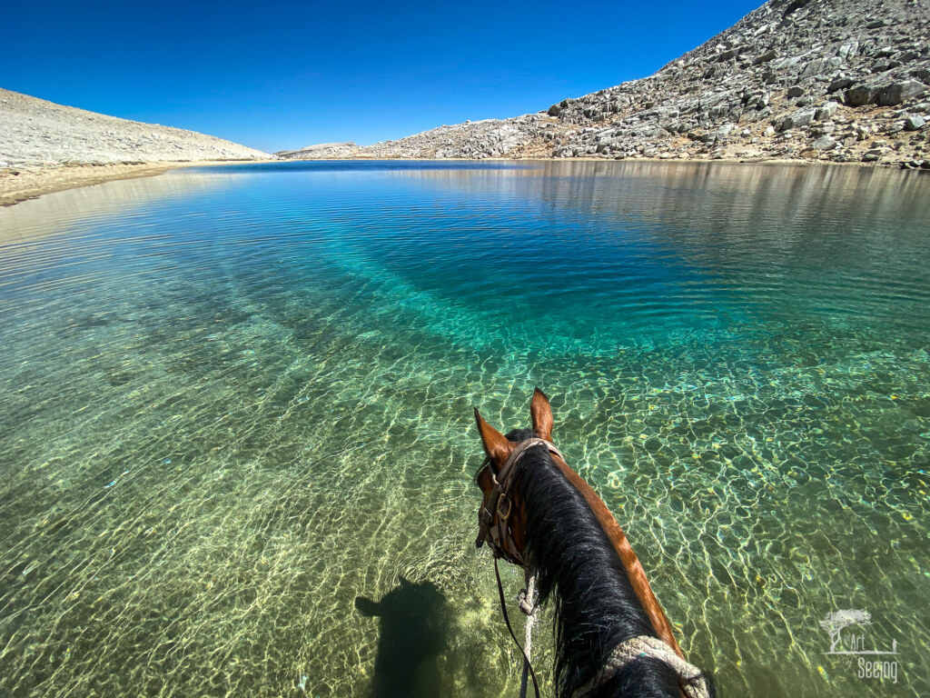 A photograph by Ken Lee made with a phone camera
