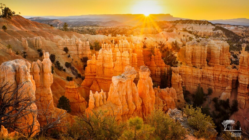 First light on the hoodoos of Bryce Canyon, the sun breaking over the rim