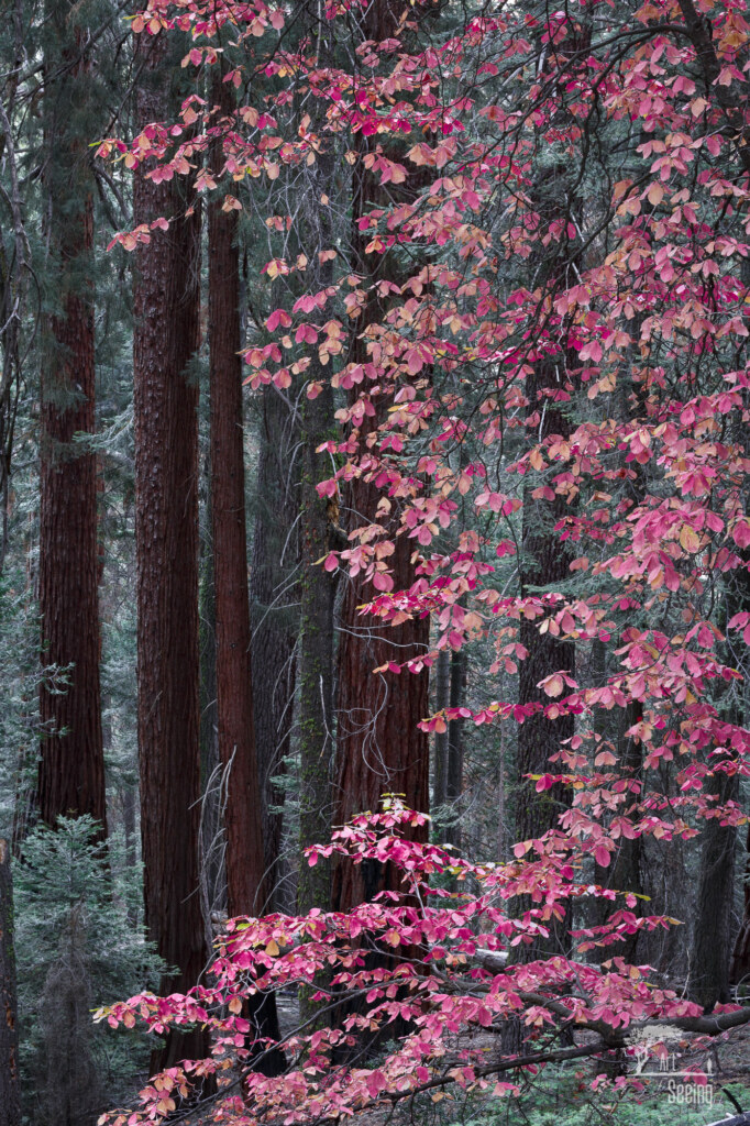 A minimalist photograph by Ken Lee