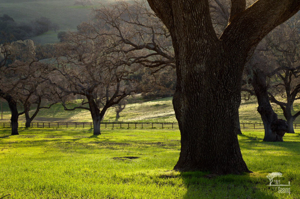 A minimalist photograph by Ken Lee
