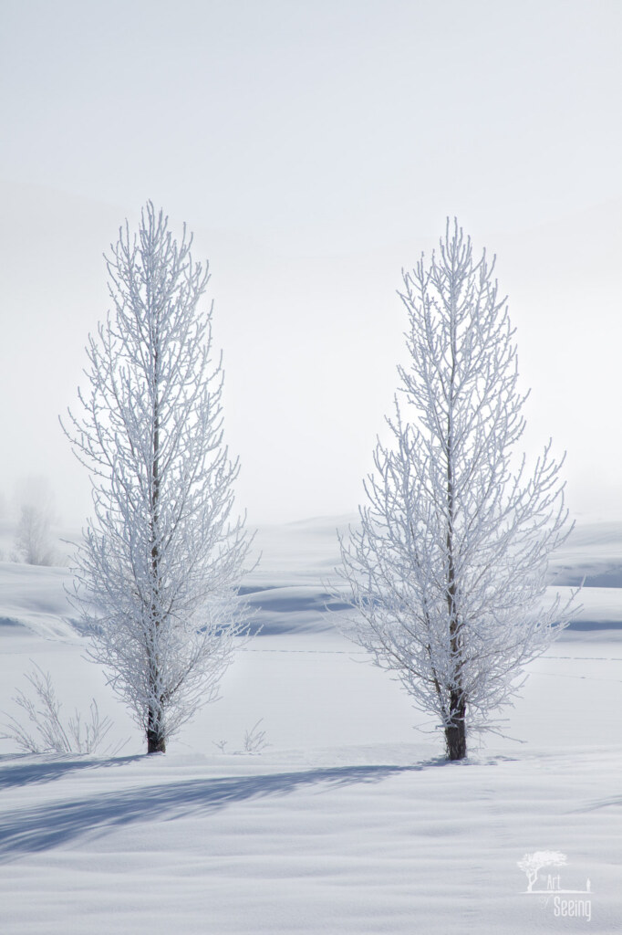 Forever Together, a minimalist photograph by Ken Lee
