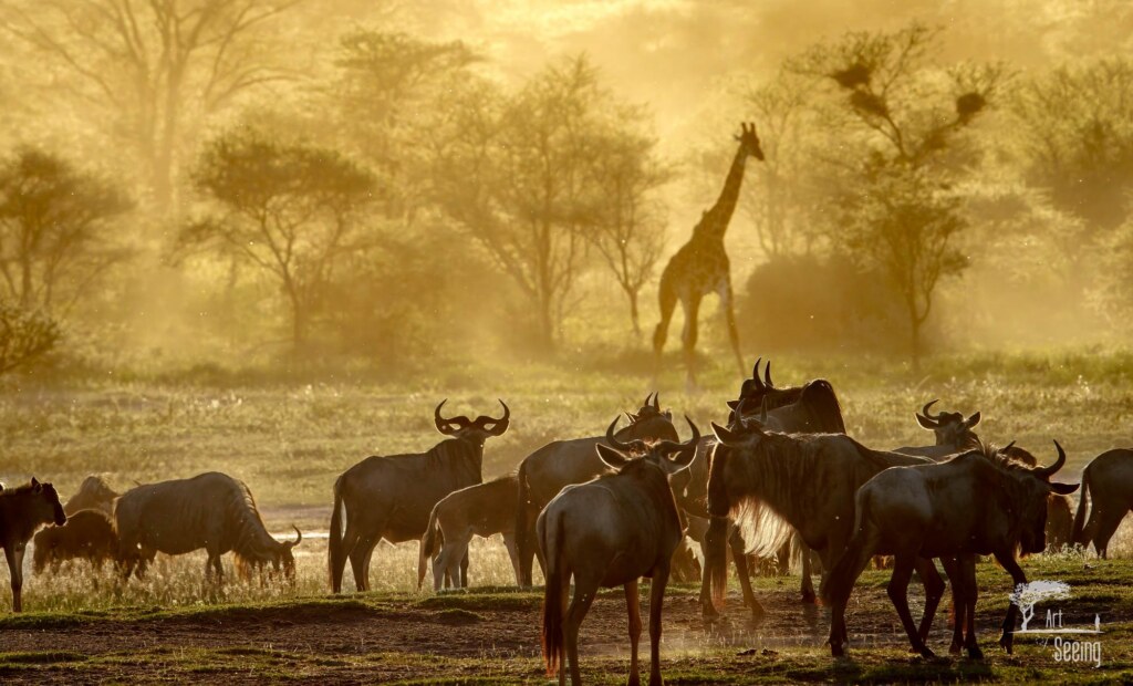 A wildlife photograph by Ken Lee