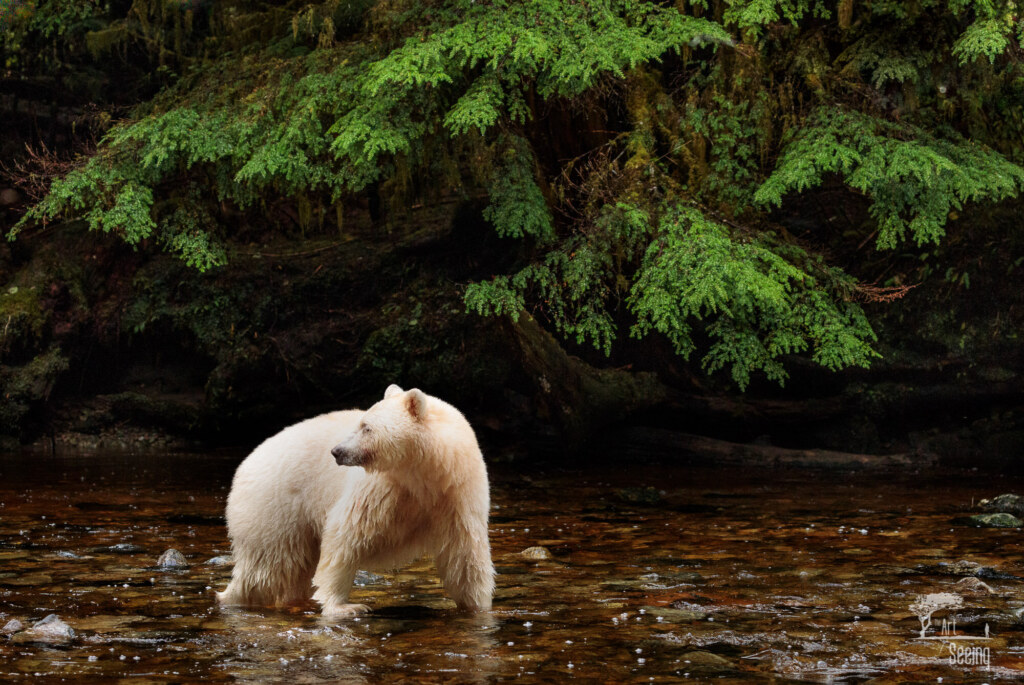 A wildlife photograph by Ken Lee