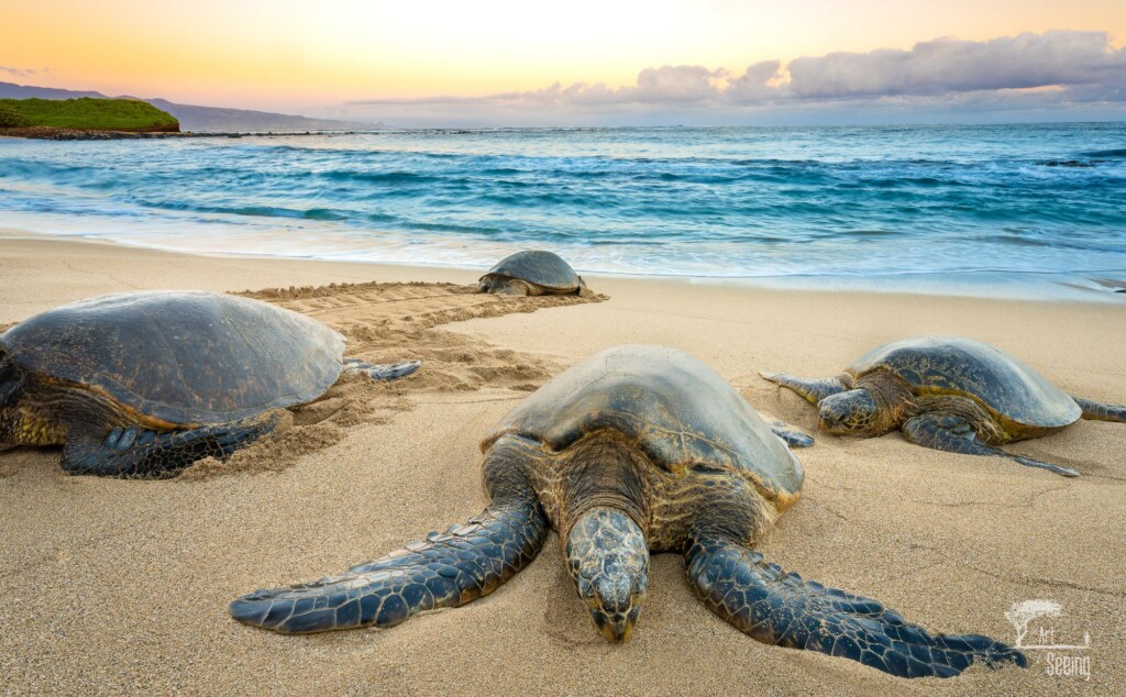 A wildlife photograph by Ken Lee