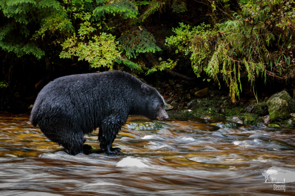 A wildlife photograph by Ken Lee