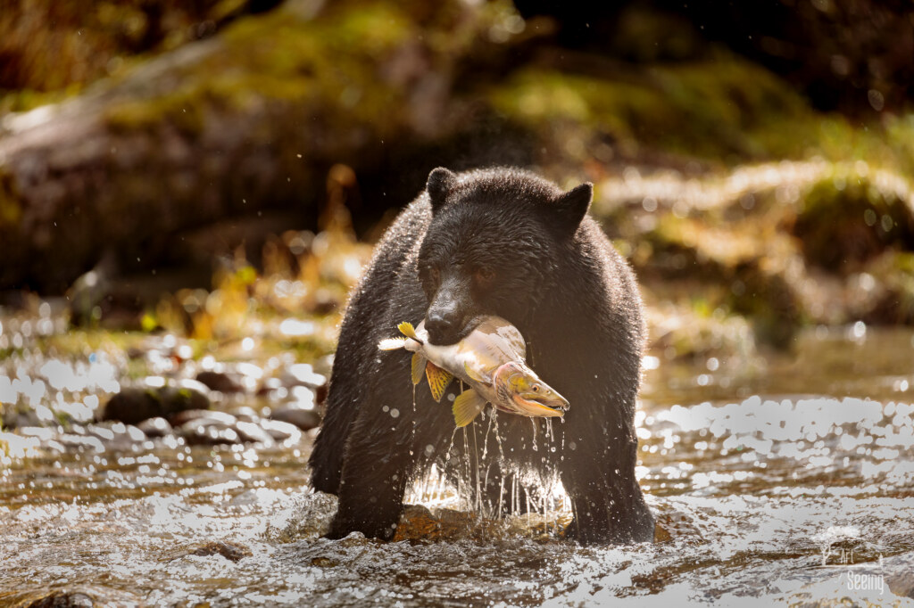 A wildlife photograph by Ken Lee