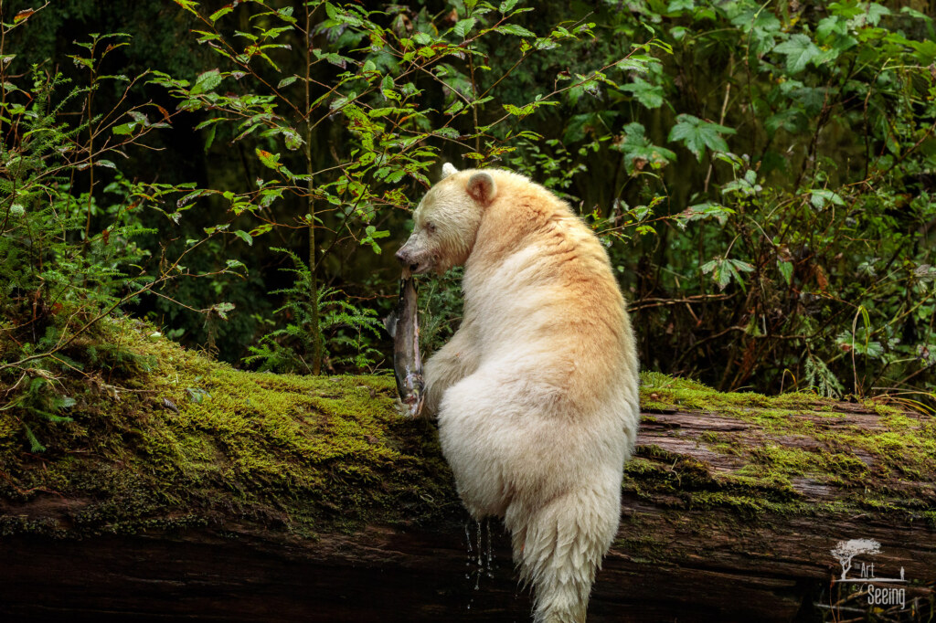 A wildlife photograph by Ken Lee