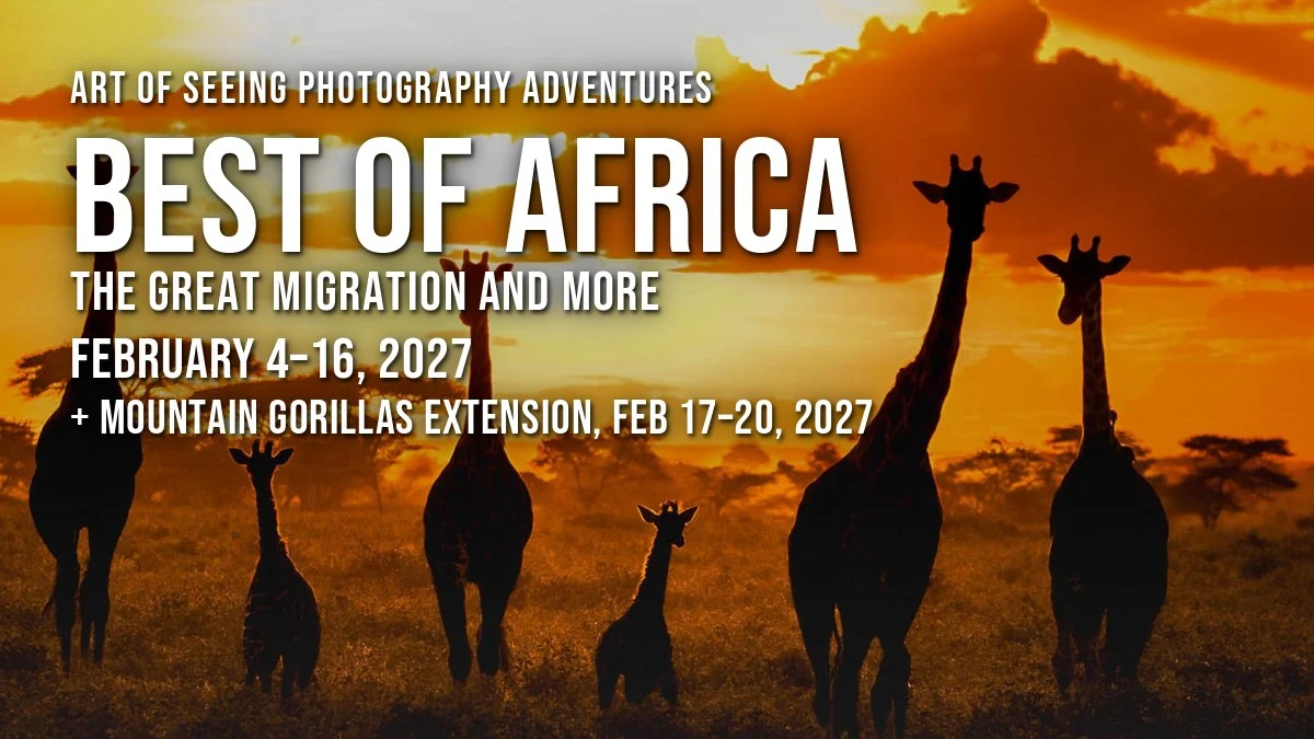 Best of Africa 2027