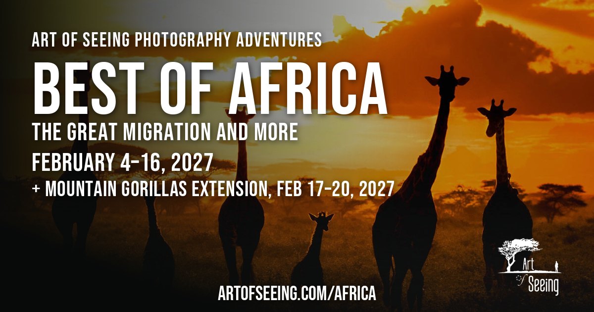 Best of Africa 2027