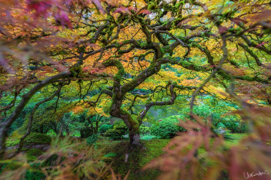 A photograph by Lyle Krannichfeld