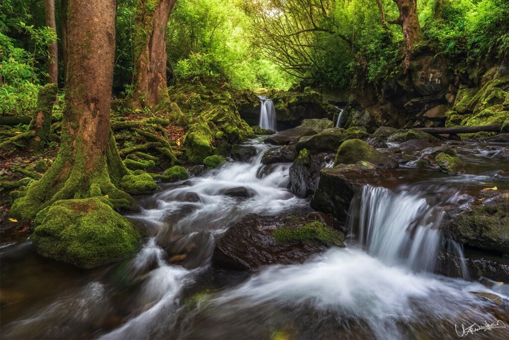 A photograph by Lyle Krannichfeld