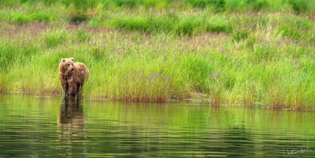 A photograph by Lyle Krannichfeld