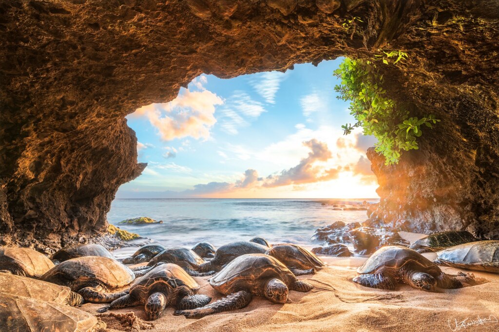 A photograph by Lyle Krannichfeld