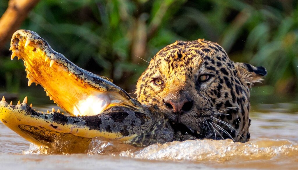 A photograph by Leighton Lum