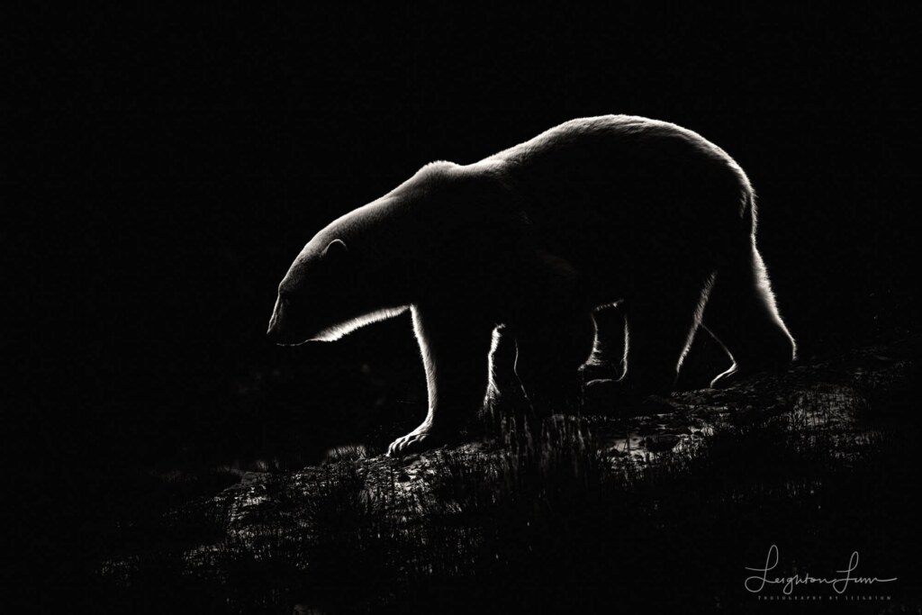 A photograph by Leighton Lum