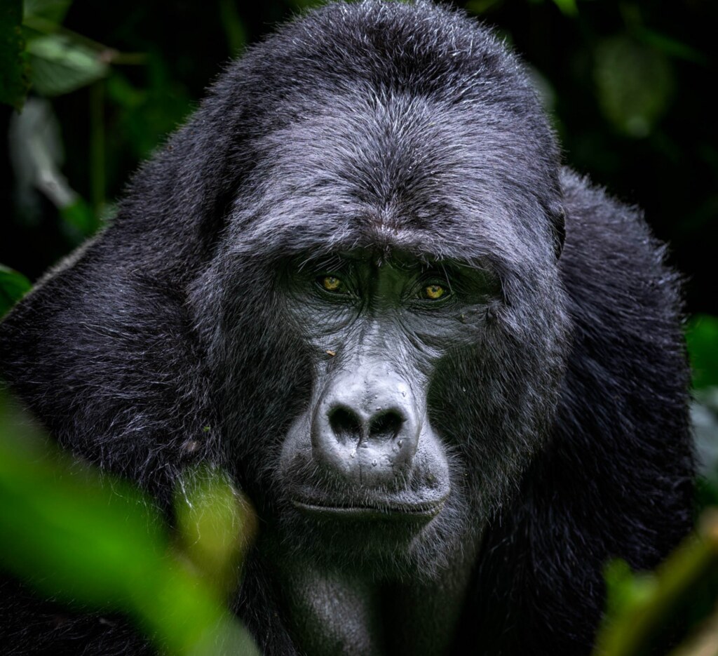 A photograph by Leighton Lum