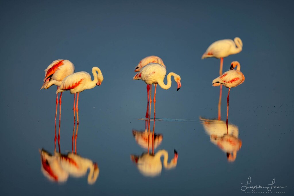 A photograph by Leighton Lum