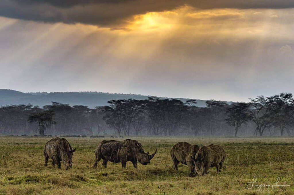A photograph by Leighton Lum