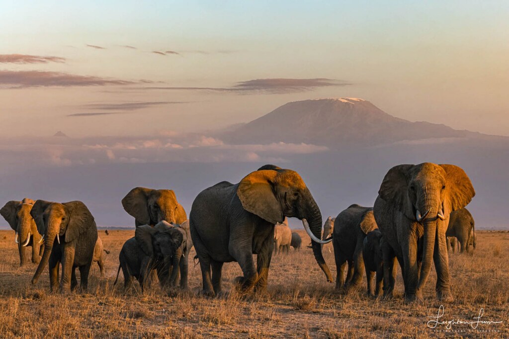 A photograph by Leighton Lum