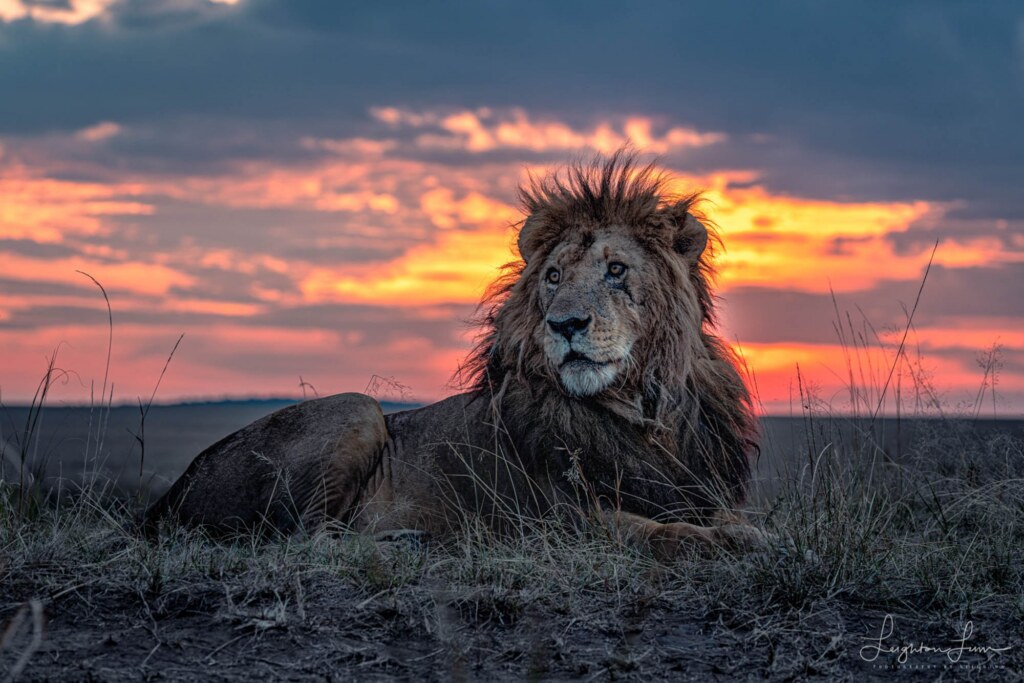 A photograph by Leighton Lum