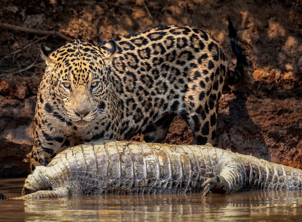 A photograph by Leighton Lum