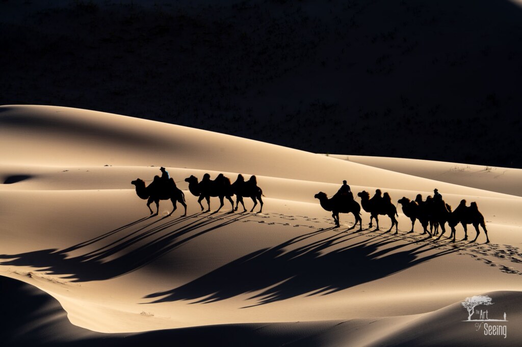 A photograph from the Art of Seeing Mongolia Golden Eagles & Gobi Desert adventures