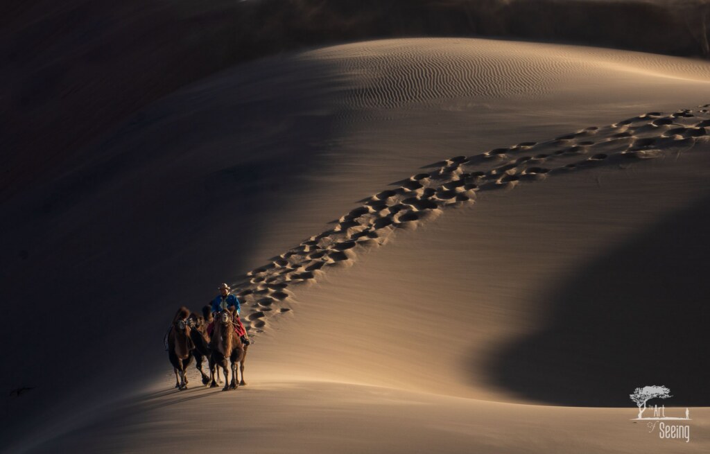 A photograph from the Art of Seeing Mongolia Golden Eagles & Gobi Desert adventures