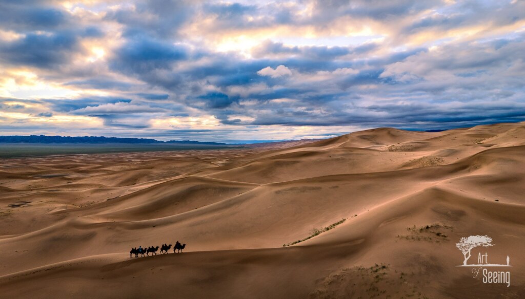 A photograph from the Art of Seeing Mongolia Golden Eagles & Gobi Desert adventures