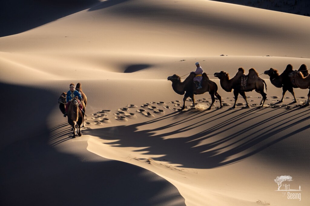 A photograph from the Art of Seeing Mongolia Golden Eagles & Gobi Desert adventures