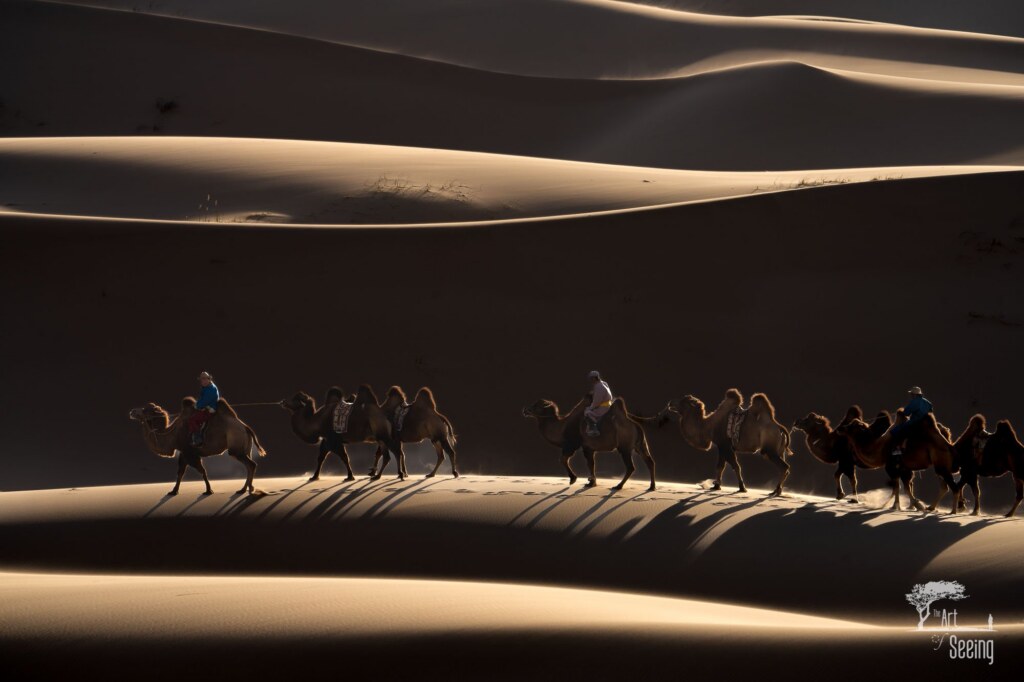 A photograph from the Art of Seeing Mongolia Golden Eagles & Gobi Desert adventures
