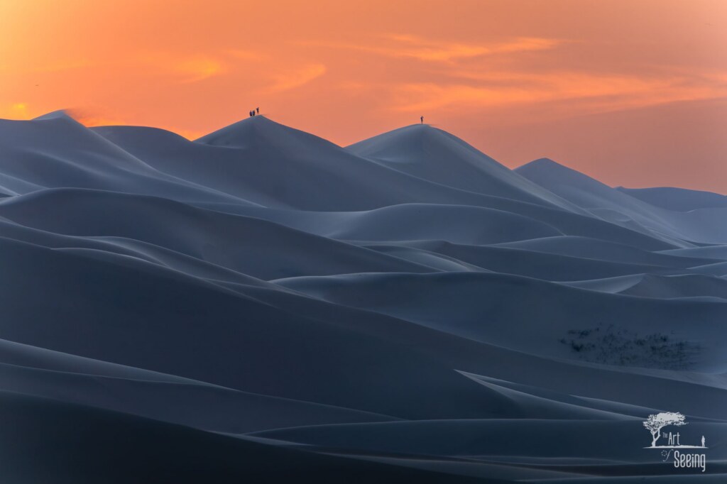 A photograph from the Art of Seeing Mongolia Golden Eagles & Gobi Desert adventures