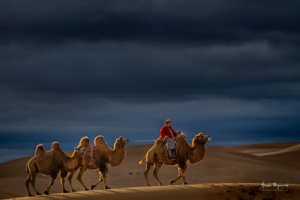 A photograph from the Art of Seeing Mongolia Golden Eagles & Gobi Desert adventures