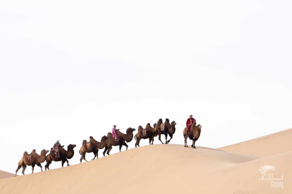 A photograph from the Art of Seeing Mongolia Golden Eagles & Gobi Desert adventures