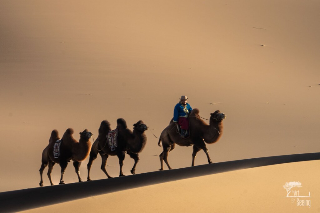 A photograph from the Art of Seeing Mongolia Golden Eagles & Gobi Desert adventures