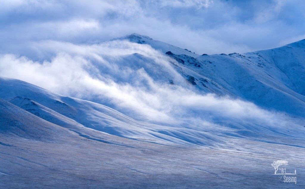 A photograph from the Art of Seeing Mongolia Golden Eagles & Gobi Desert adventures