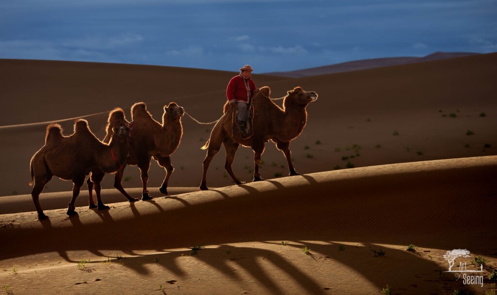 A photograph from the Art of Seeing Mongolia Golden Eagles & Gobi Desert adventures