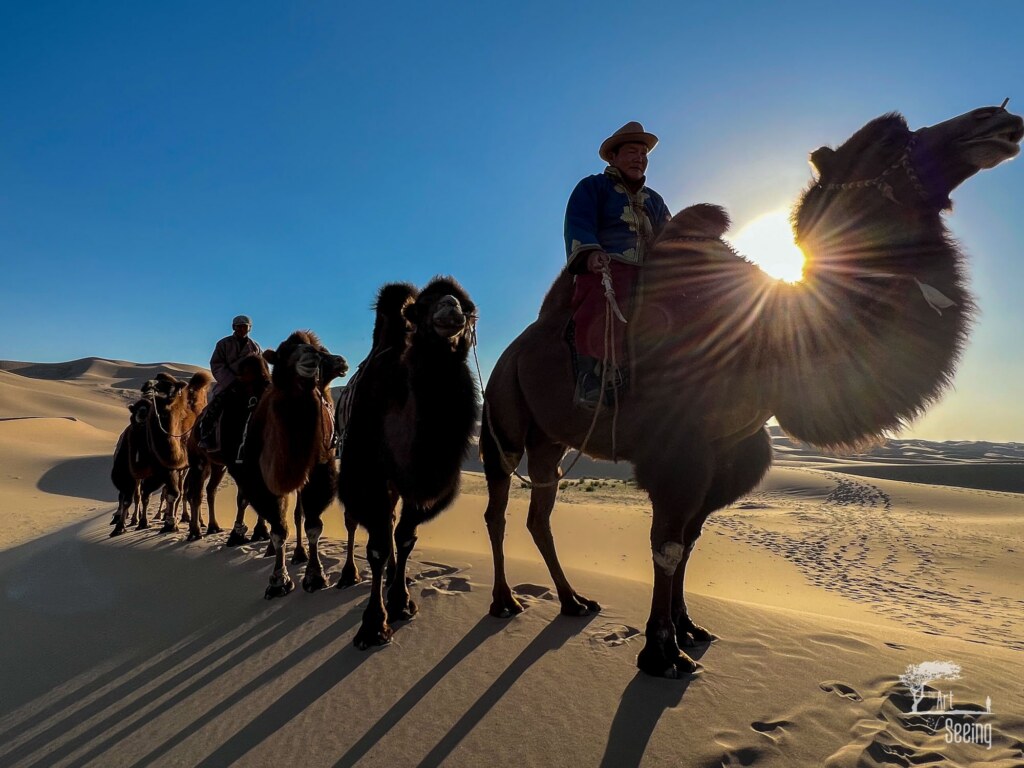 A photograph from the Art of Seeing Mongolia Golden Eagles & Gobi Desert adventures