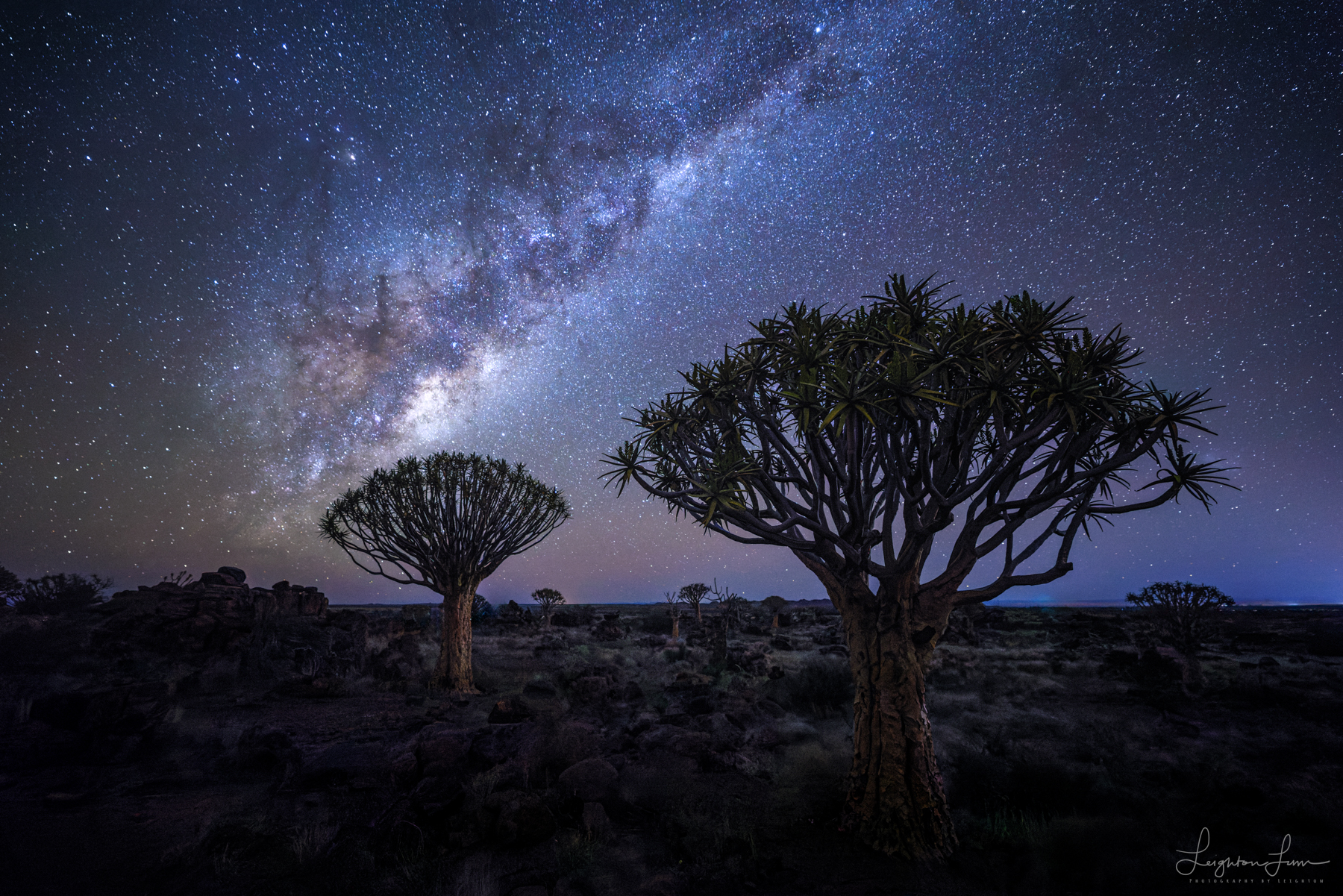 The Milky Way over quiver trees, Namibia night-sky photography