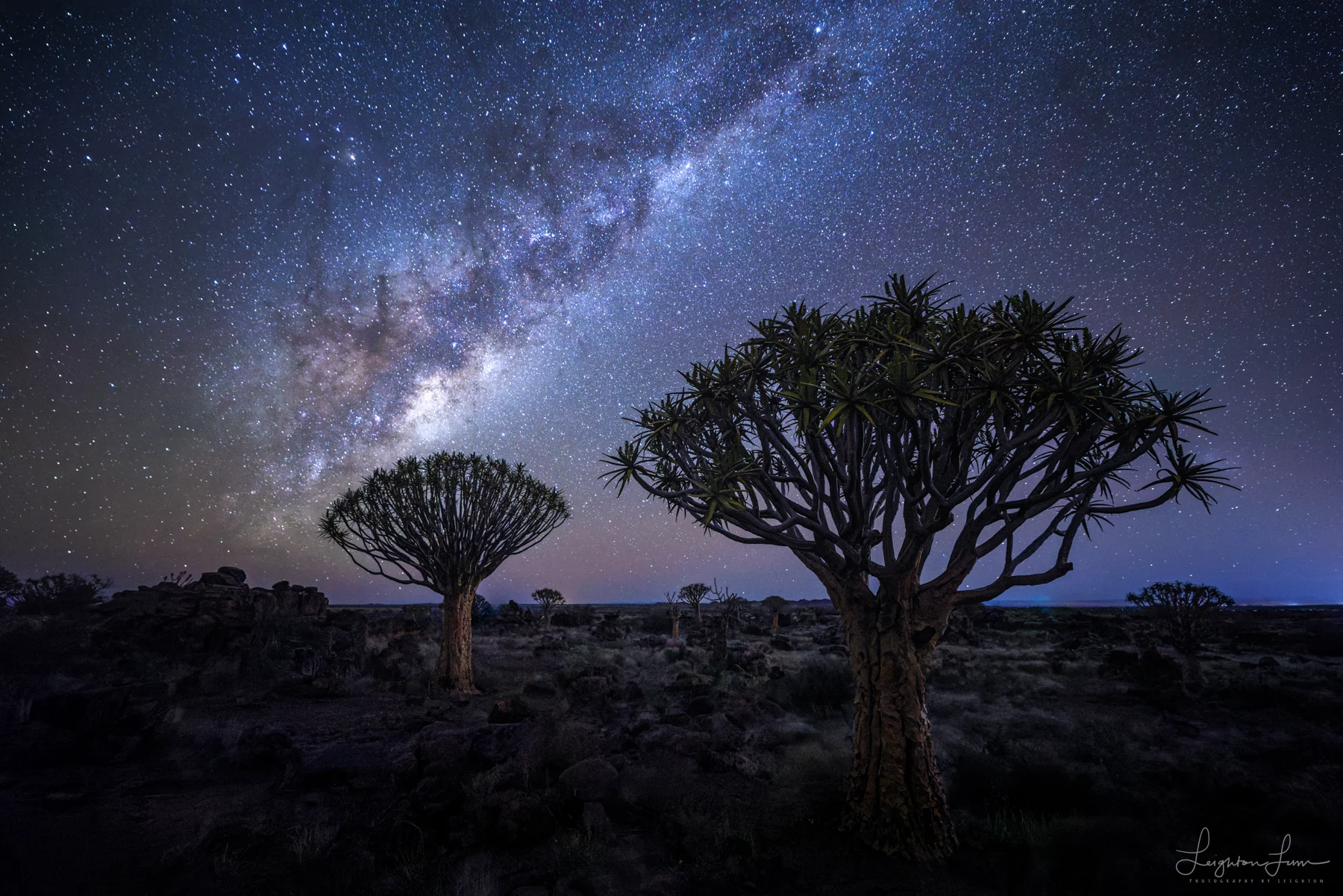 The Milky Way over quiver trees, Namibia night-sky photography
