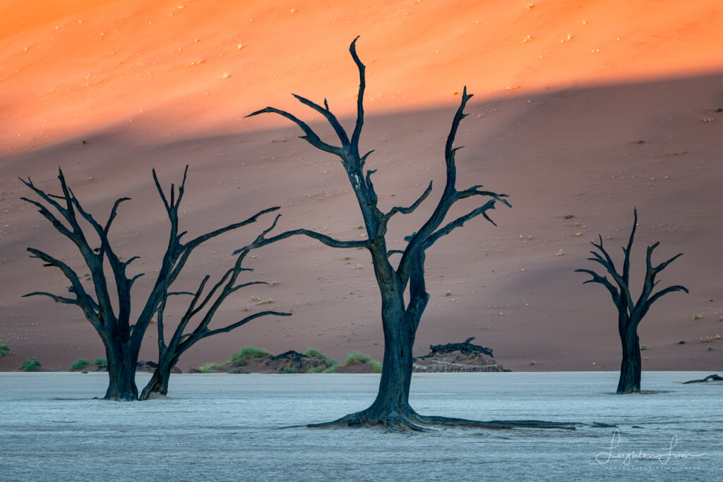 From the 2026 Art of Seeing Namibia scouting mission