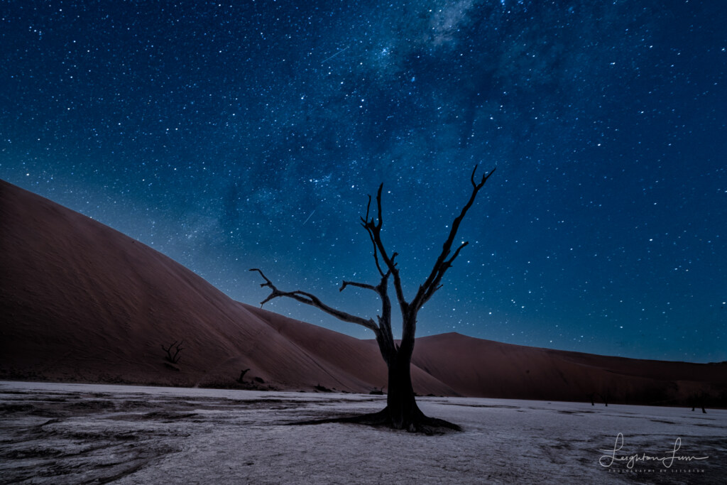 From the 2026 Art of Seeing Namibia scouting mission