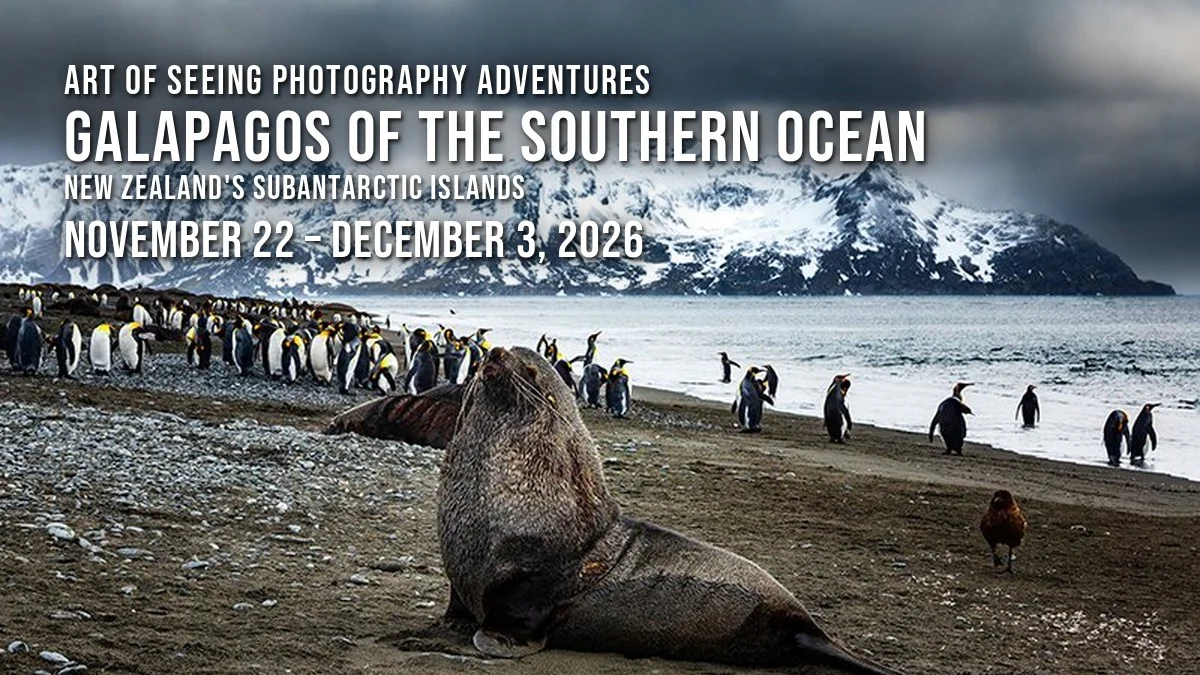Galapagos of the Southern Ocean 2026