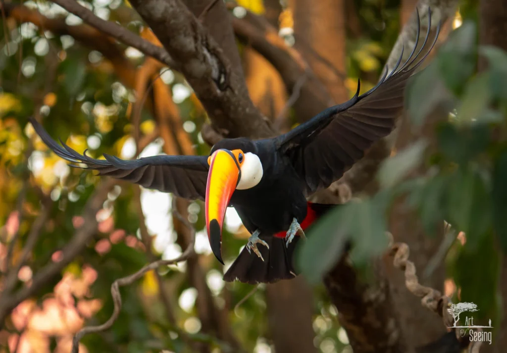 From a past Art of Seeing Pantanal photography adventure