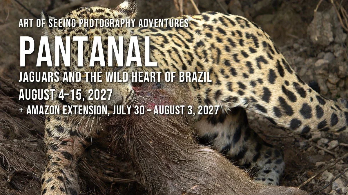Pantanal 2027
