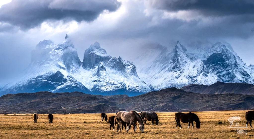 From a past Art of Seeing Patagonia photography adventure