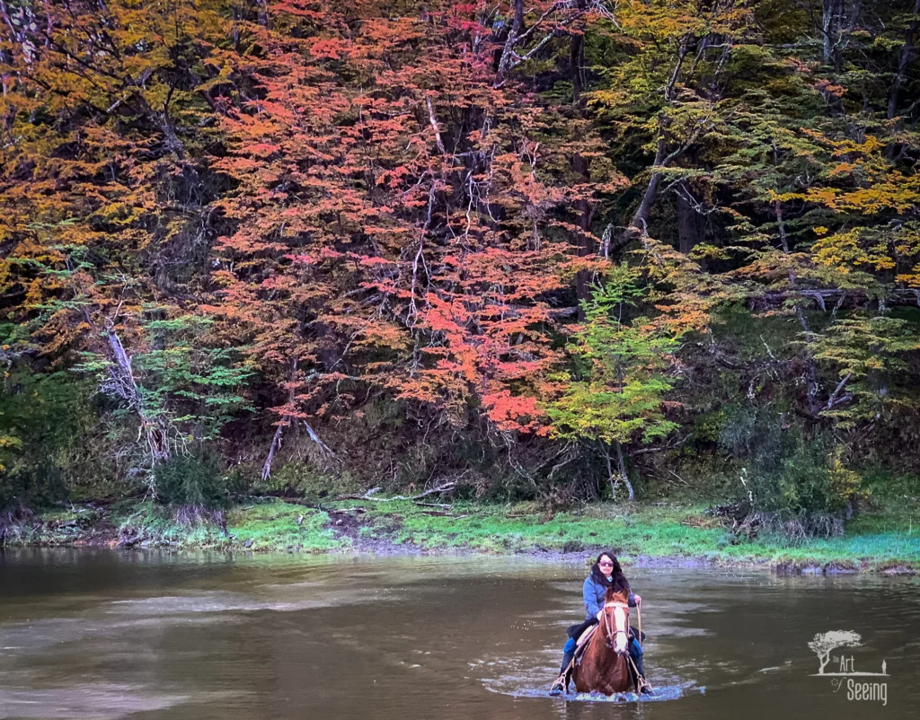 From a past Art of Seeing Patagonia photography adventure