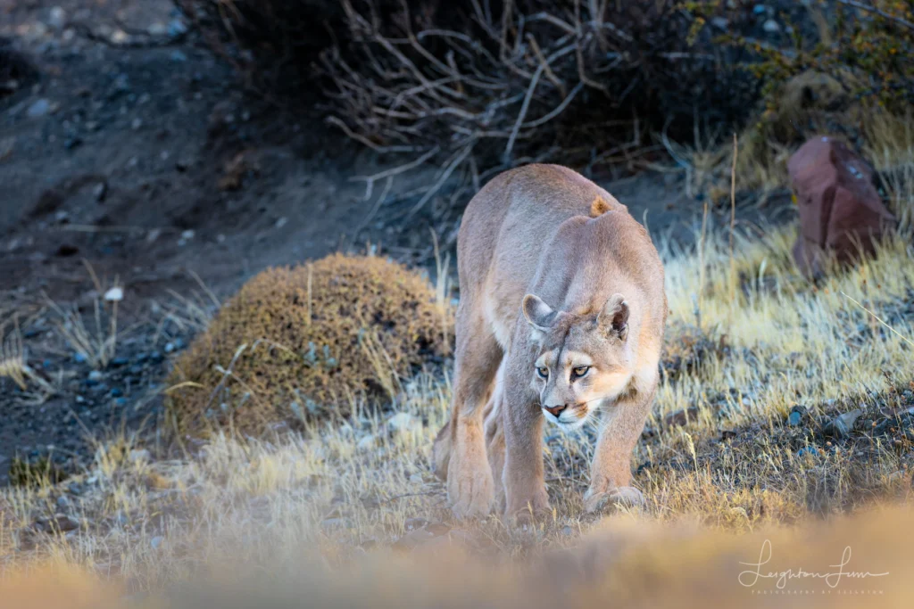 From a past Art of Seeing Patagonia photography adventure